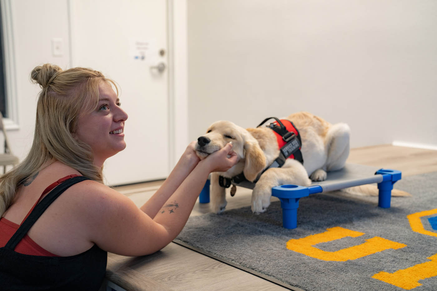 Dog Training Tips That Build Better Behavior Fast